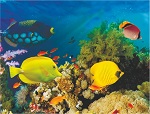морской пейзаж морской пейзаж